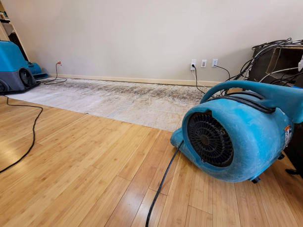 Professional Water Extraction technician working in Santee, CA
